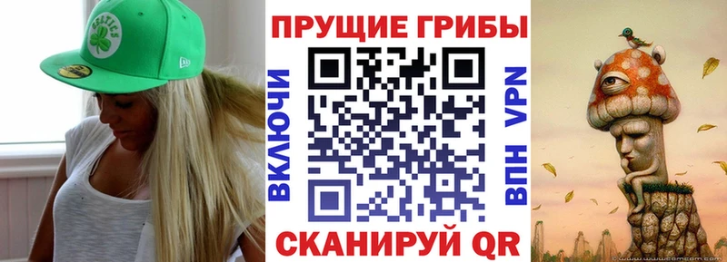 где найти   маркетплейс состав  Псилоцибиновые грибы прущие грибы  Кушва 